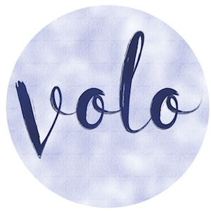 Logo of Volo project